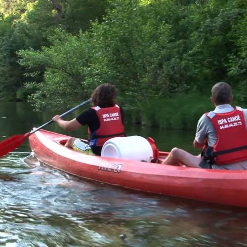 Le castor dans les Cévennes