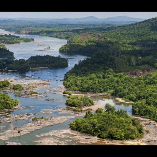 Abattis Kotika, une merveille du territoire guyanais