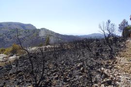 incendie calanques