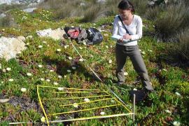 restauration-ecologique-de-l-ile-de-bagaud-inventaire-flore.jpg