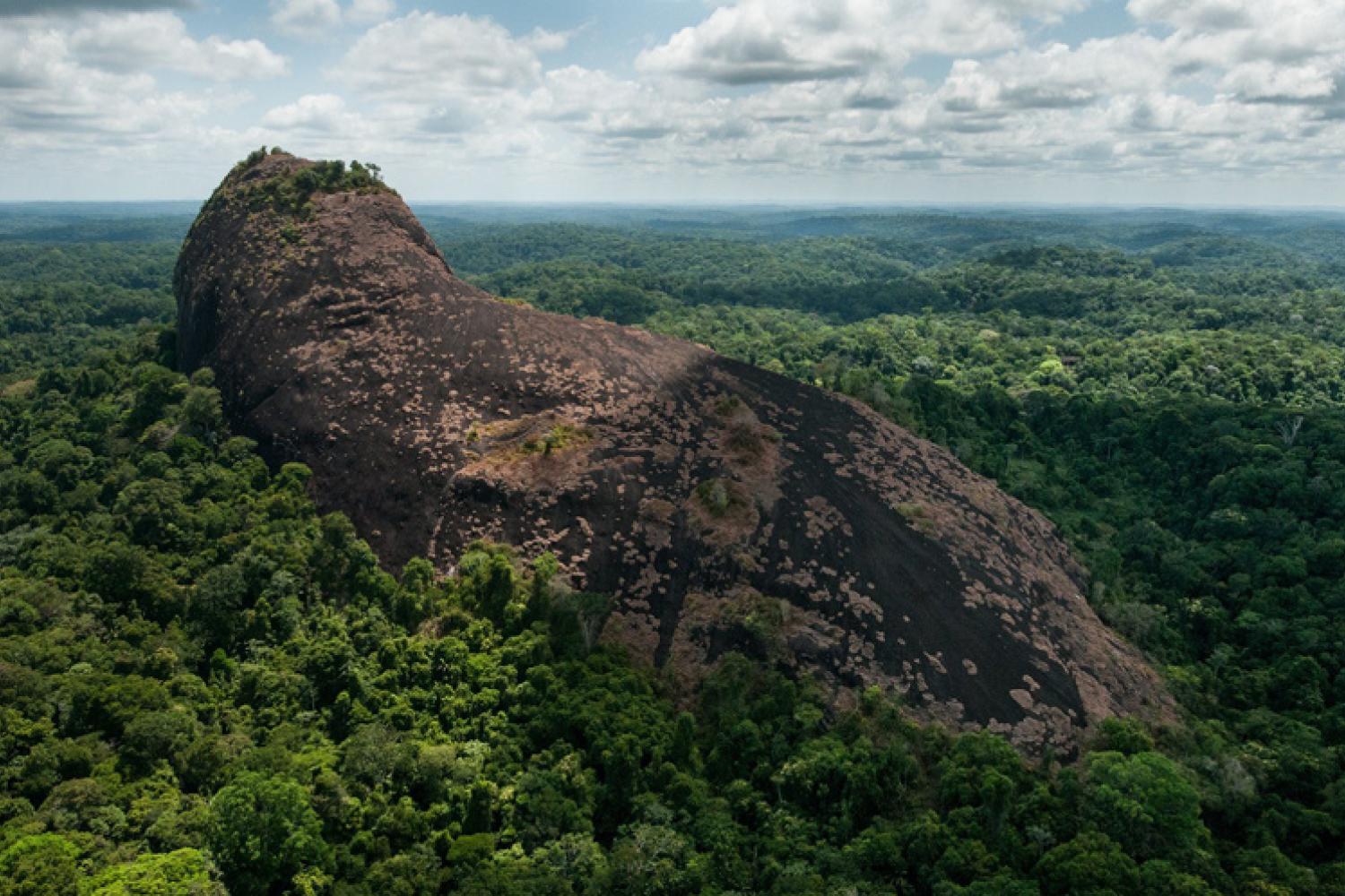 parc-amazonien-guillaume-feuillet.jpg